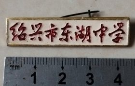 “绍兴市东湖中学”校徽