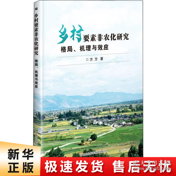 乡村要素非农化研究—格局、机理与效应