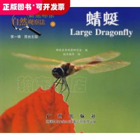 蜻蜓