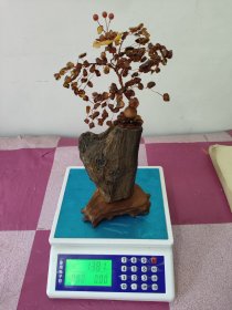 辽宁艺人手工制作天然琥珀摇钱树，木底座，树化石树干，铜丝穿天然琥珀树叶