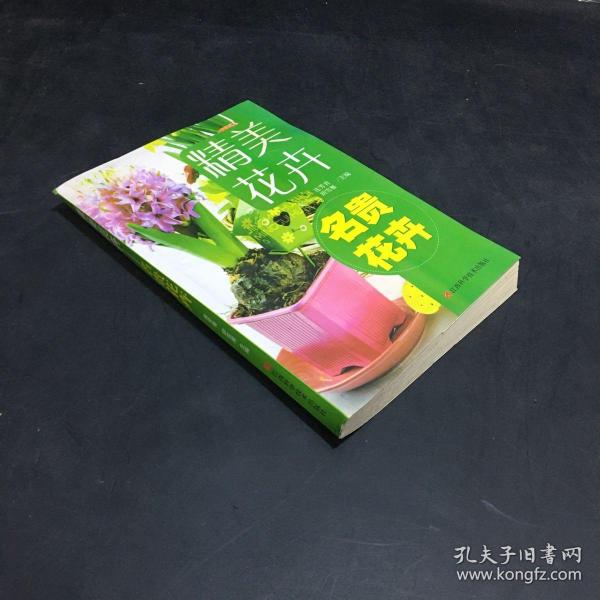 精品花卉：名贵花卉