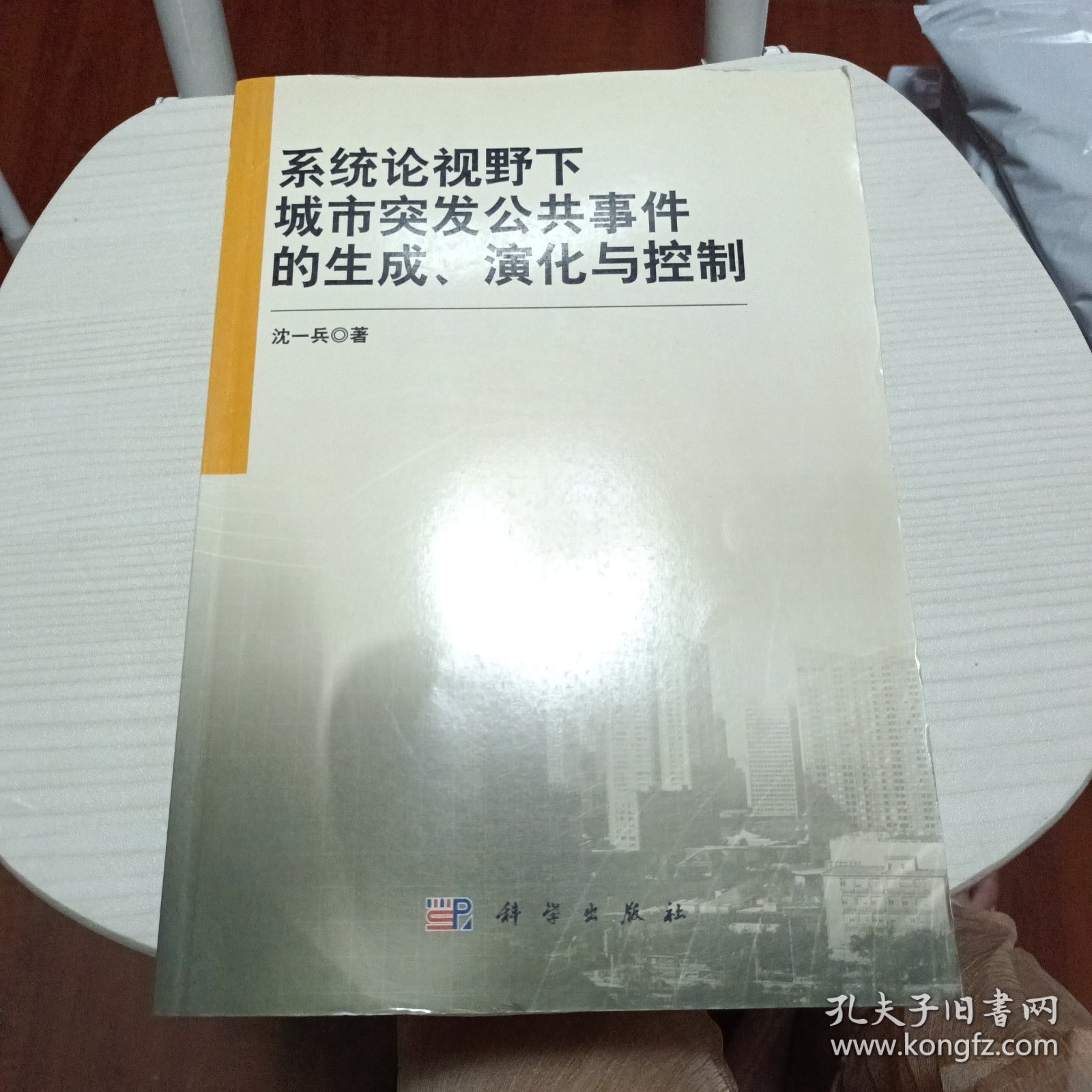 系统论视野下城市突发公共事件的生成、演化与控制