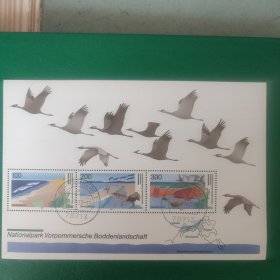 德国邮票 1996年自然保护 湿地鸟类 鹳 小型张 1全销