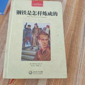 钢铁是怎样炼成的（世界文学名著典藏全译插图本）