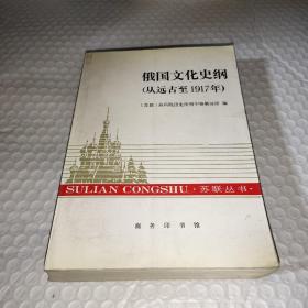 俄国文化史纲:从远古至1917年 苏联丛书