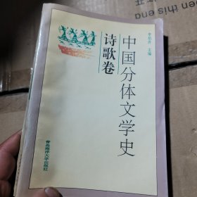 中国分体文学史