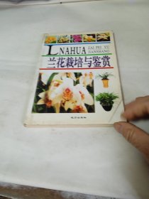 兰花栽培与鉴赏