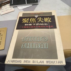 聚焦失败粹炼下的钻石二十例项目货款失败的经典透析，32开