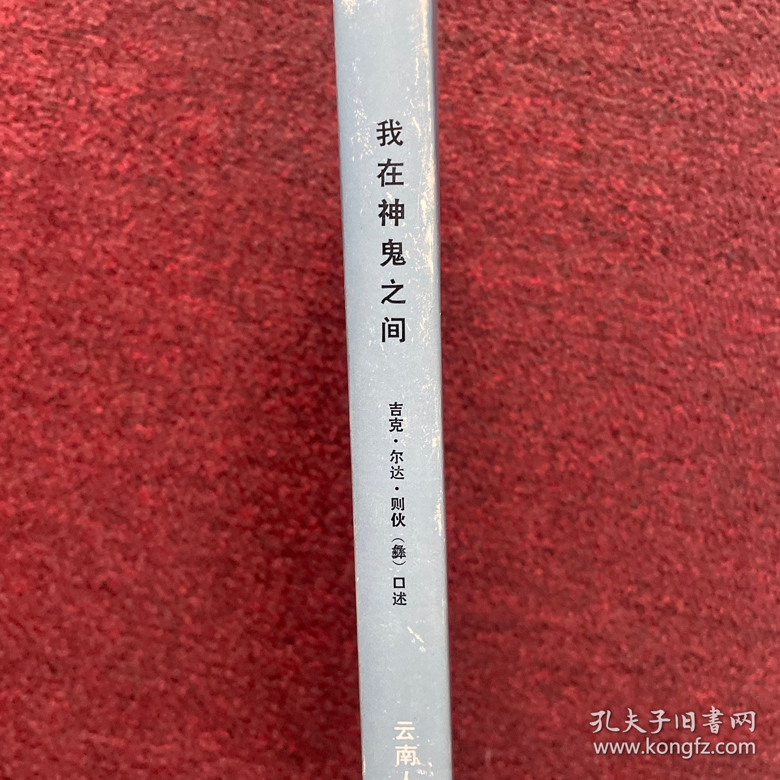 我在神鬼之间：一个彝族祭司的自述 精装