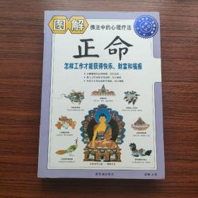 图解正命：怎样工作才能获得快乐、财富和福报（2012白话图解）