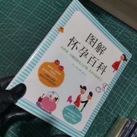 图解怀孕百科