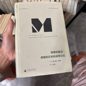 正版 理想国译丛012：罪孽的报应 广西师范大学出版社 (荷)伊恩