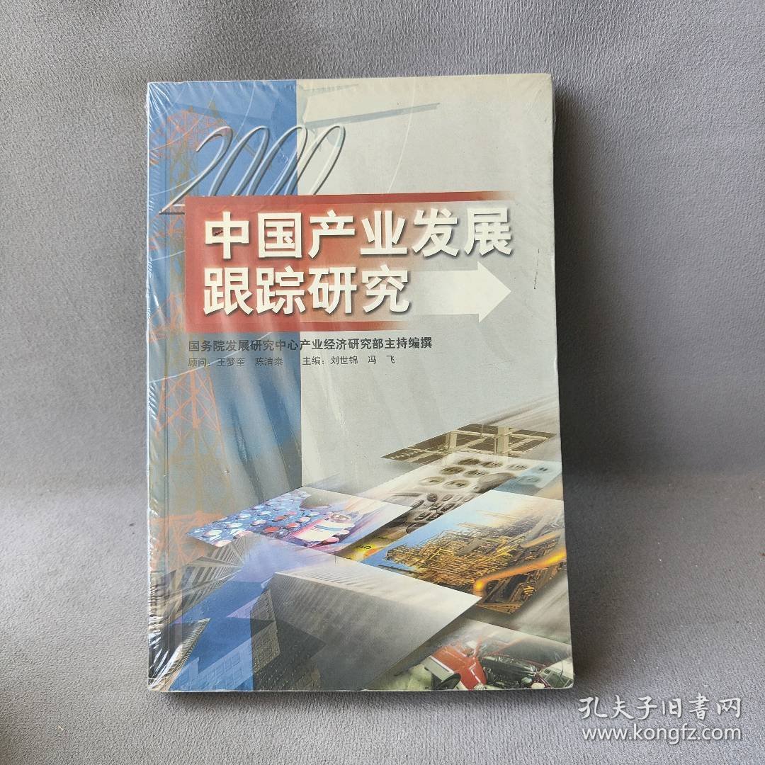 中国产业发展跟踪研究2000年