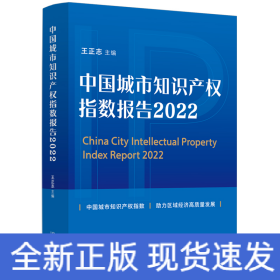 中国城市知识产权指数报告（2022）