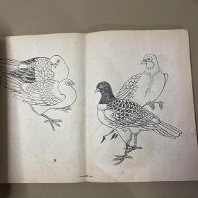 鸟谱  【中央工艺美术学院图案训练班1960年 8开本】
