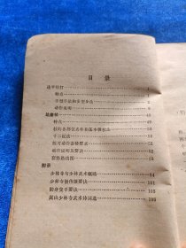 少林武术 连手短打 达磨杖