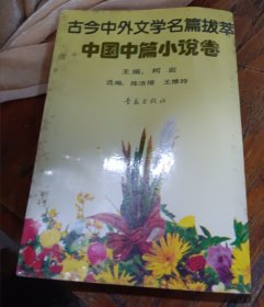 中国中篇小说卷古今中外文学名篇拔萃