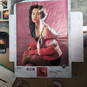 姚正菁彩页