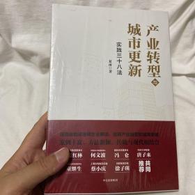 产业转型与城市更新：实践三十八法