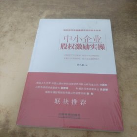 中小企业股权激励实操