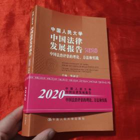 中国人民大学中国法律发展报告2020——中国法治评估的理论、方法和实践