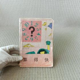 小学生丛书：算得快