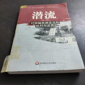 潜流：对狭隘民族主义的批判与反思