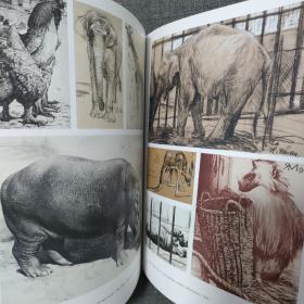 德语 die schone und beauty das biest and the best 美女与野兽 绘画艺术