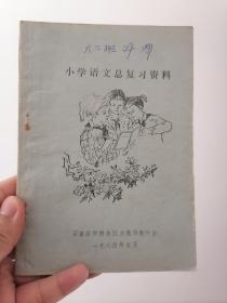 小学语文总复习资料 石家庄 桥东区1984年