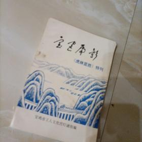 宝宫虎影（虎林特刊）