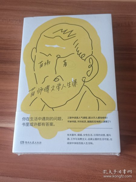 苗师傅文学人生课（三联中读高人气课程，超10万人感动收听！你在生活中遇到的问题，书里或许都有答案）【浦睿文化出品】