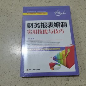 财务报表编制实用技能与技巧（未开封）