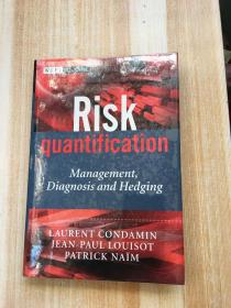 Risk Quantification: Management, Diagnosis and Hedging