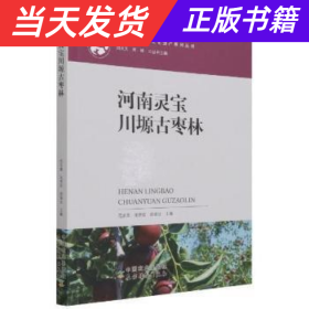 河南灵宝川塬古枣林/中国重要农业文化遗产系列丛书