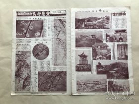 北晨画刊（第3卷第7期）8开4版，道林纸，1934年，清奚冈墨梅条幅，吴待秋画五色密梅，梅花摄影（暗香数点、铁骨冰姿、疏影横斜），榆关回忆（长城、二郎庙、榆关东门、今日之榆关鼓楼、毁于日军炮火下之角楼魁星楼、冬日之海滨、榆关迤西、玄阳洞之外观），周养庵画松梅，罗清桢作木刻逆水行舟，画家与美人（张大千纳宠），白涛作木刻私斗，汤尔叟贺大千居士纳宠楹帖，法源寺水陆道场之名画家马伯逸，