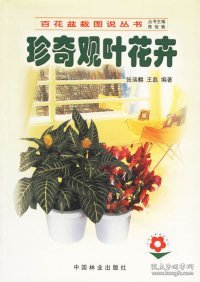 珍奇观叶花卉