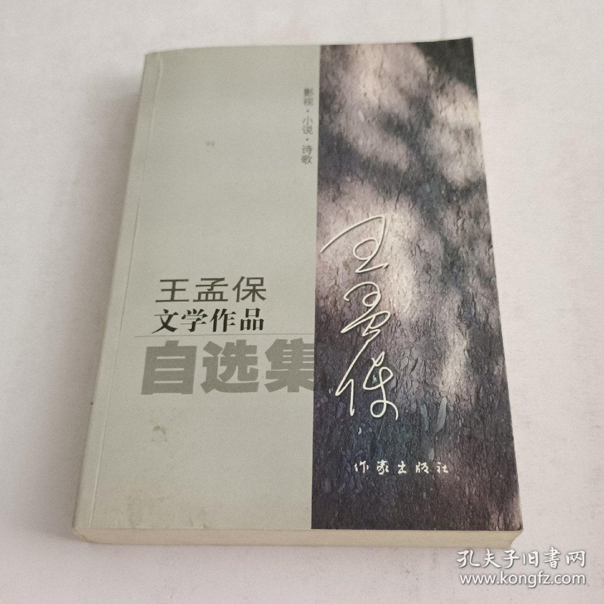 王孟保文学作品自选集