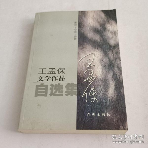 王孟保文学作品自选集