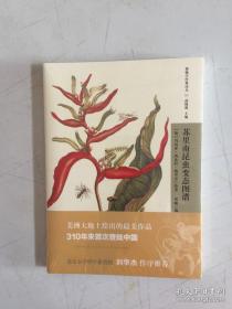 苏里南昆虫变态图谱