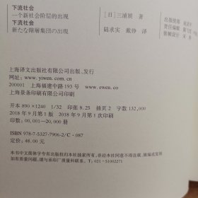 下流社会：一个新社会阶层的出现