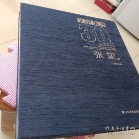 学院美术30年. 张望卷