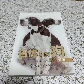 宠物大本营：名优宠物狗品种图鉴（全彩大图）