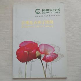 景观花卉种子图册