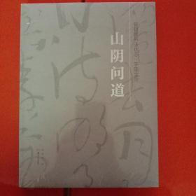 山阴问道 : 曾朝晖书法状态·字里字外(未拆封)