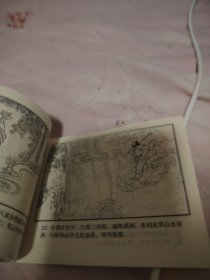 真假美猴王