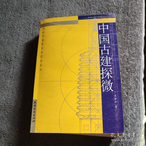 中国古建探微 东西方建筑文化艺术丛书 (正版) 插图多
