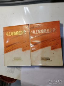 毛泽东巡视各地漫记