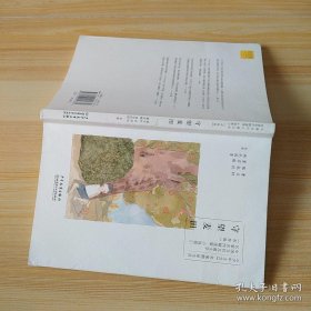 中国当代儿童文学名家名作精选集（彩绘版）小说卷1：守望麦田