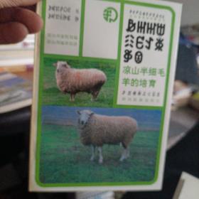 凉山半细毛羊的培育（彝汉文）