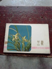 兰花 明信片（11枚全）78年